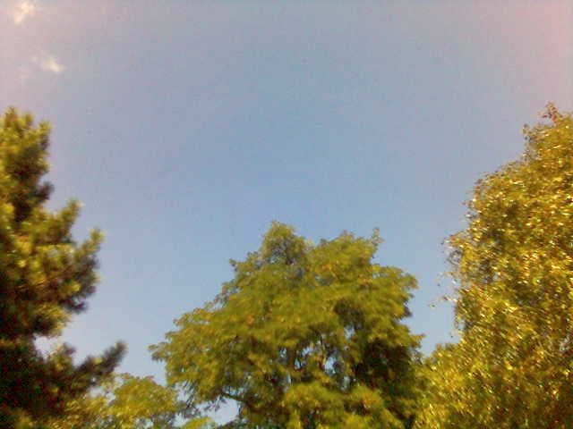 herbst blau herbst himmel park 