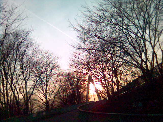 Sonnenuntergang Severinsbrcke severinsbruecke bruecke himmel koeln natur sonne strasse stadt baeume 