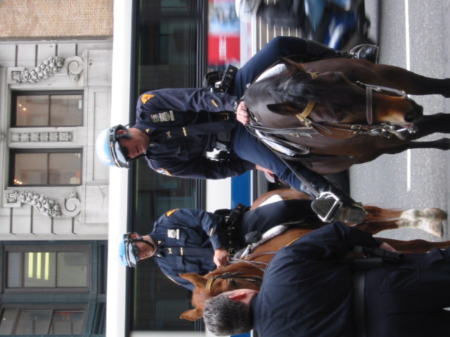 grazise bullen amerika bullen cops usa ny new_york 
