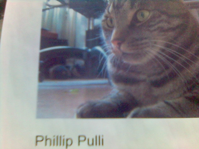 Phillip Pulli 