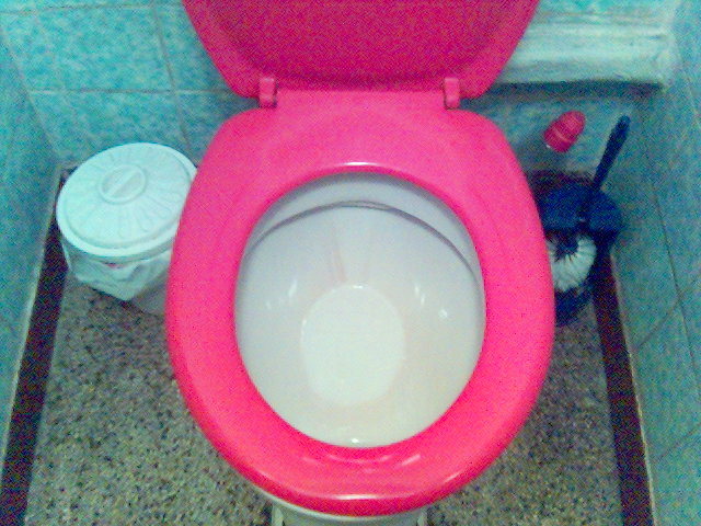 pretty in pink klo rot toilette klobrste kacheln klobrille 
