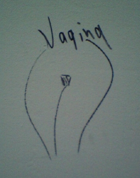 anatomie vagina wand frau 