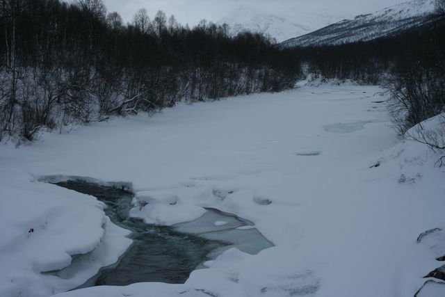 gefrorener fluss eis schnee fluss gefroren norwegen nordkap2008 